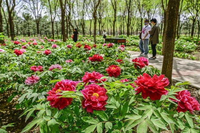 -2：三大+书市+特色小镇打卡文旅新地标AG旗舰厅网站首页120小时玩转副中心(图10)