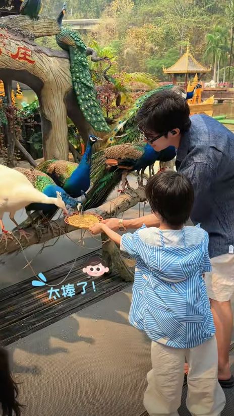 ！麦迪娜穿泳装美呆了4岁女儿颜值真的高AG旗舰厅网站首页姜潮一家人在云南旅游(图6)