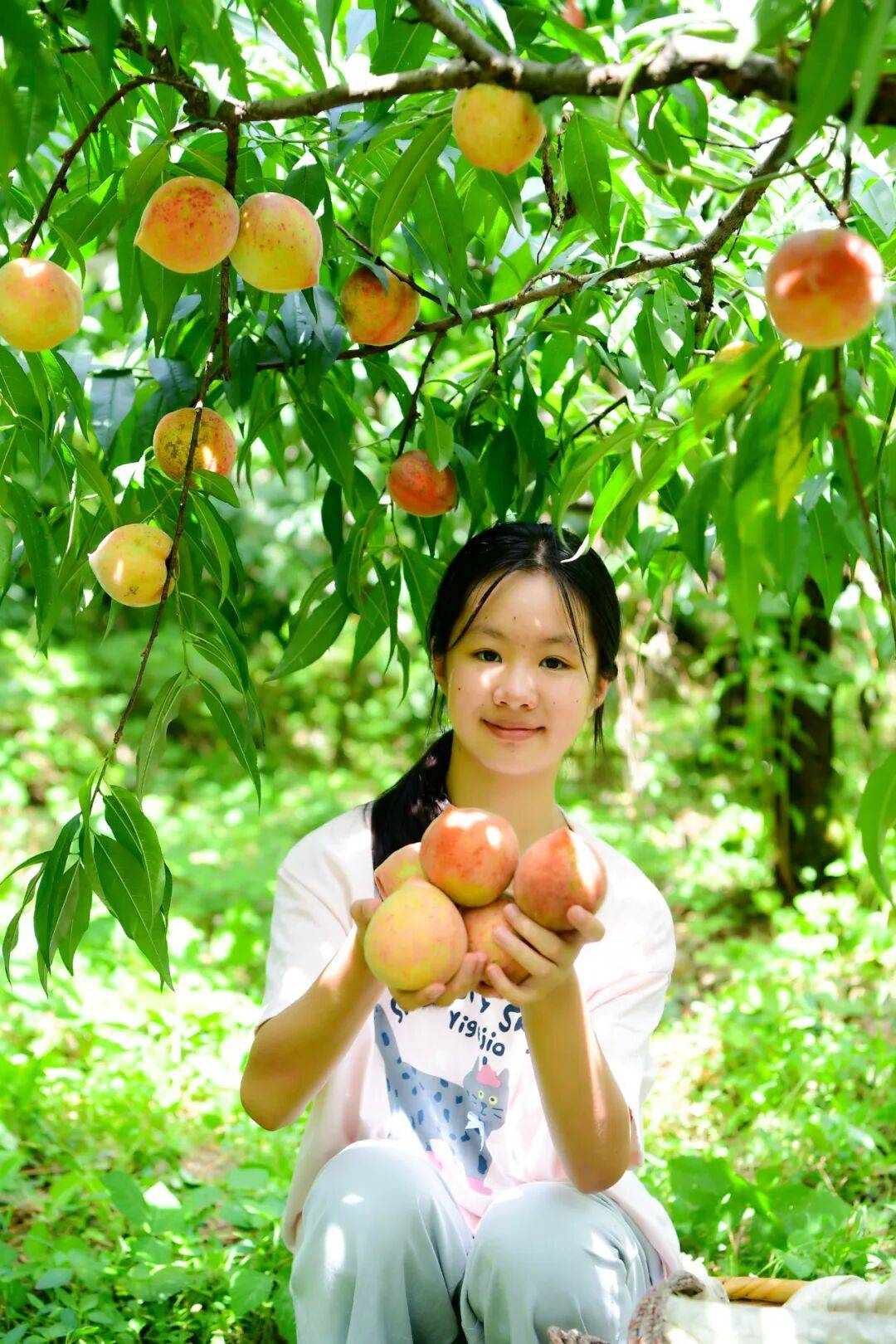 0%!清凉大围山何以这样火AG旗舰厅网站首页增长3(图8) 0%!清凉大围山何以这样火AG旗舰厅网站首页增长3(图8)